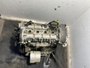 IMG_2993.jpeg