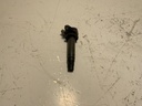IMG_2999.jpeg