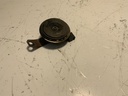 IMG_3020.jpeg