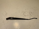 IMG_3174.jpeg