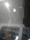 DSCN1270.JPG
