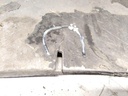 IMG_20260429_104352.jpg