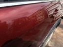 IMG_20260522_143426.jpg