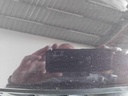 IMG_20260522_093857.jpg