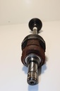 IMG_5171.JPG