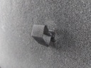 20260602_160830.jpg
