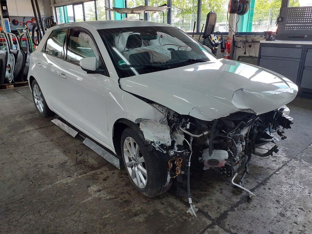 20260519_134943.jpg