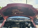 IMG_20260605_091906.jpg