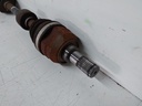 17806646426575452023571358299695.jpg