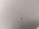 IMG_20260608_082912.jpg