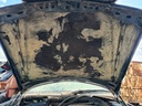 IMG_20260605_101715.jpg