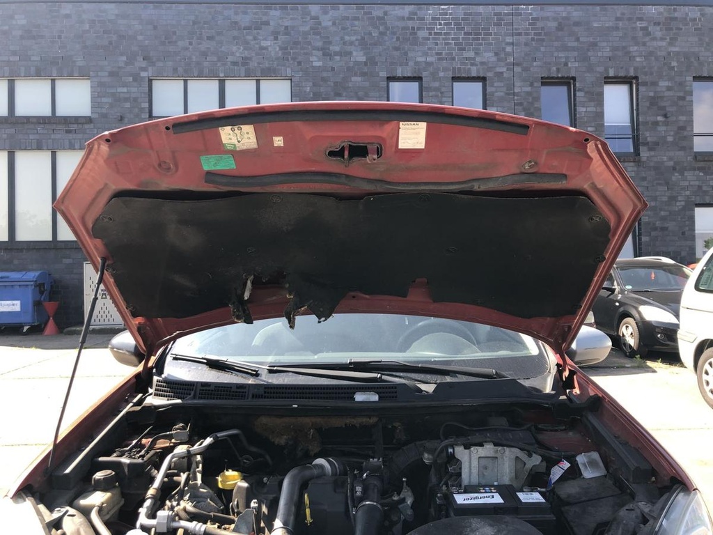 IMG_7043.JPG