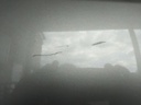 IMG_20260618_134857.jpg