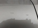 IMG_20260618_135648.jpg