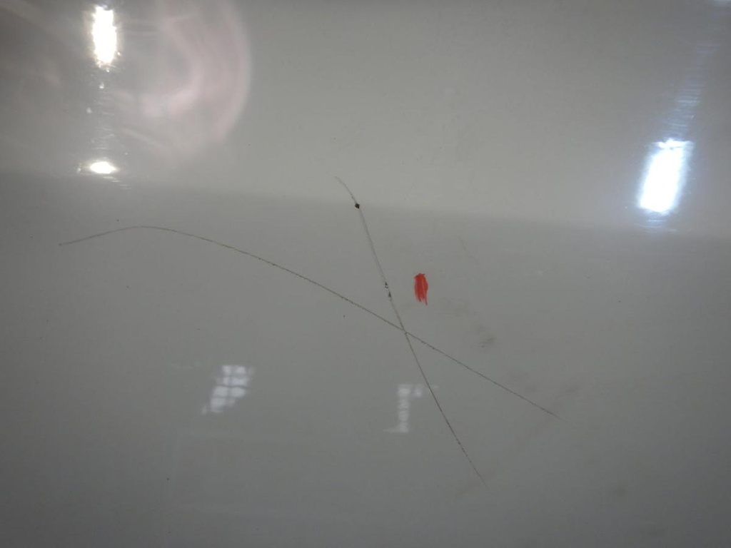 DSCN2349.JPG