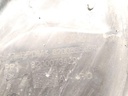 IMG_20260714_111155.jpg