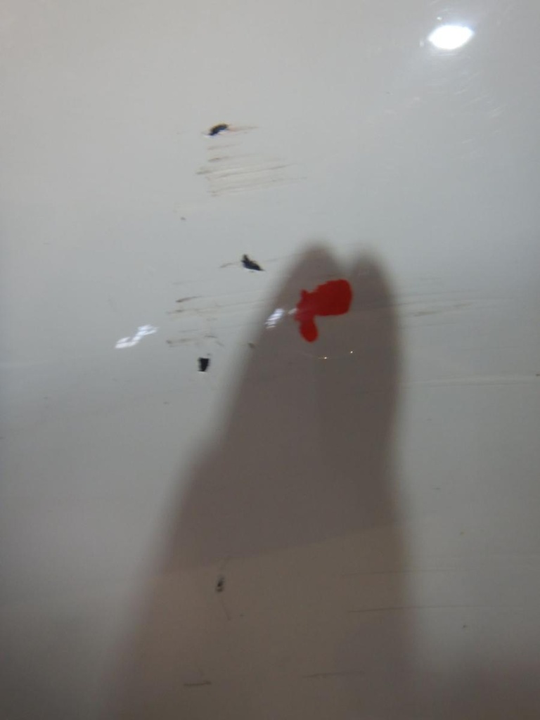 DSCN3015.JPG