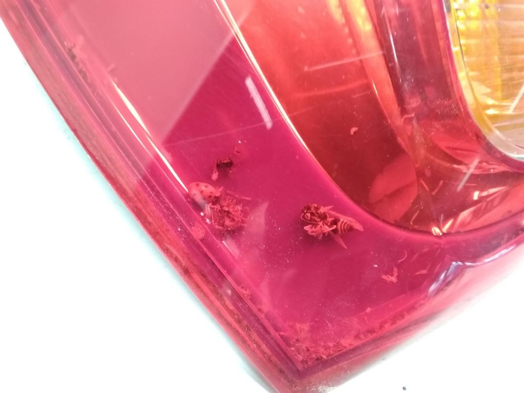 17847245280523505915777374313059.jpg