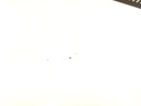 IMG_20260804_142432.jpg