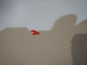 DSCN3518.JPG