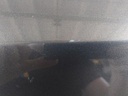 20260813_133114.jpg