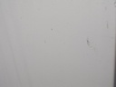 IMG_20260826_083844.jpg