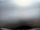 IMG_20260903_084725.jpg
