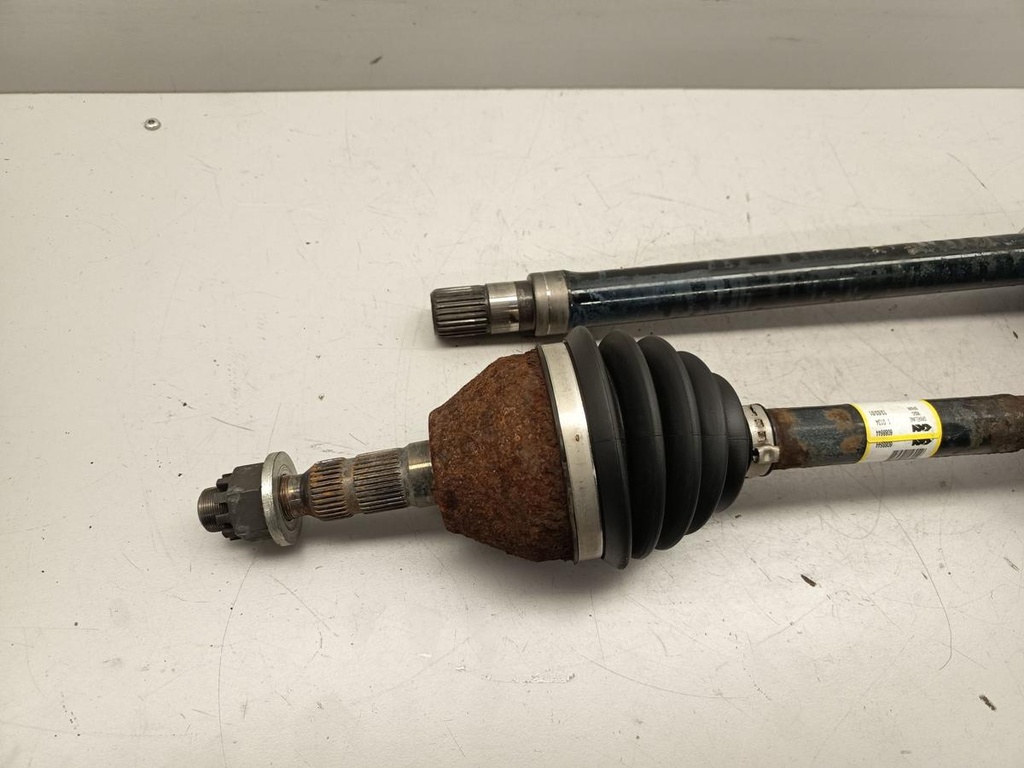 IMG_20260903_160853.jpg
