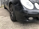IMG_4447.JPG