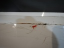 DSCN4163.JPG