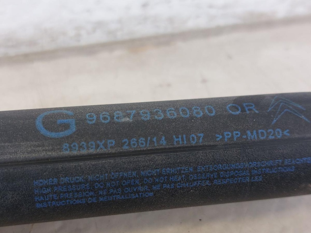 20260909_143826.jpg
