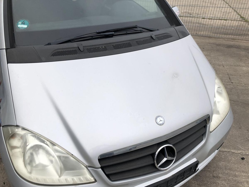 IMG_5173.JPG