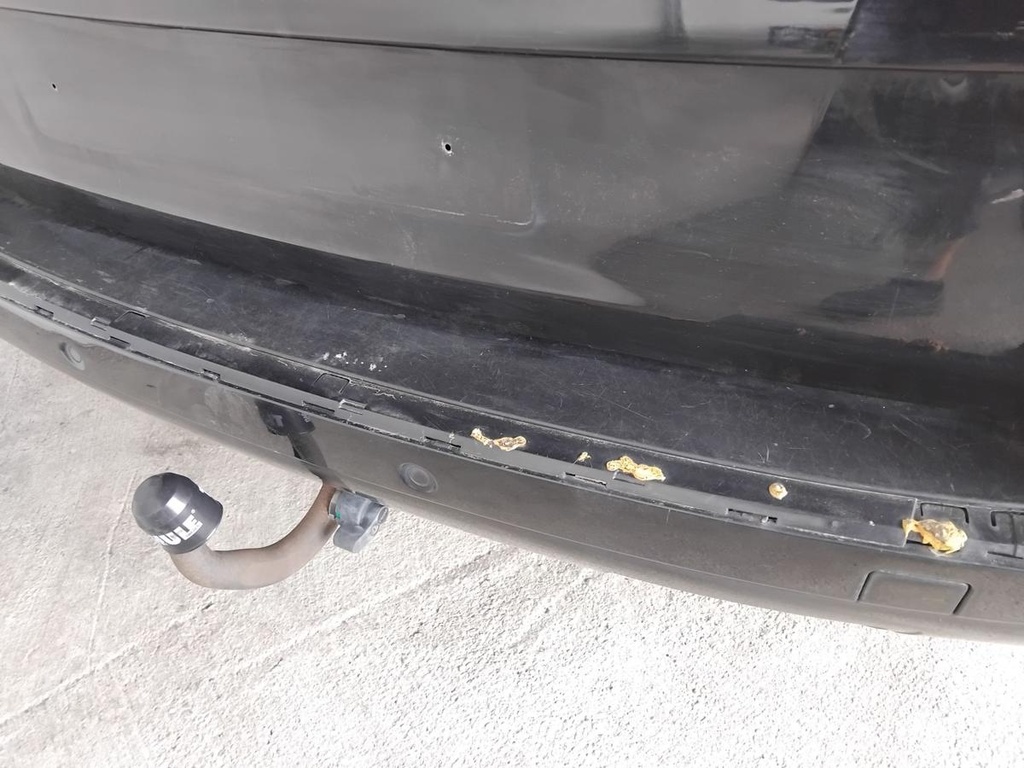 IMG_20260917_155649.jpg