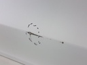 20260907_155831.jpg