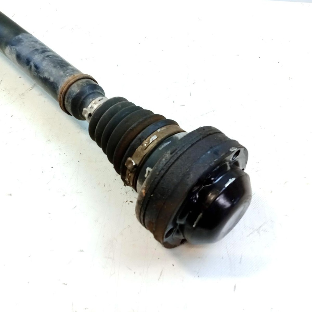 IMG_20260923_124024_0.jpg