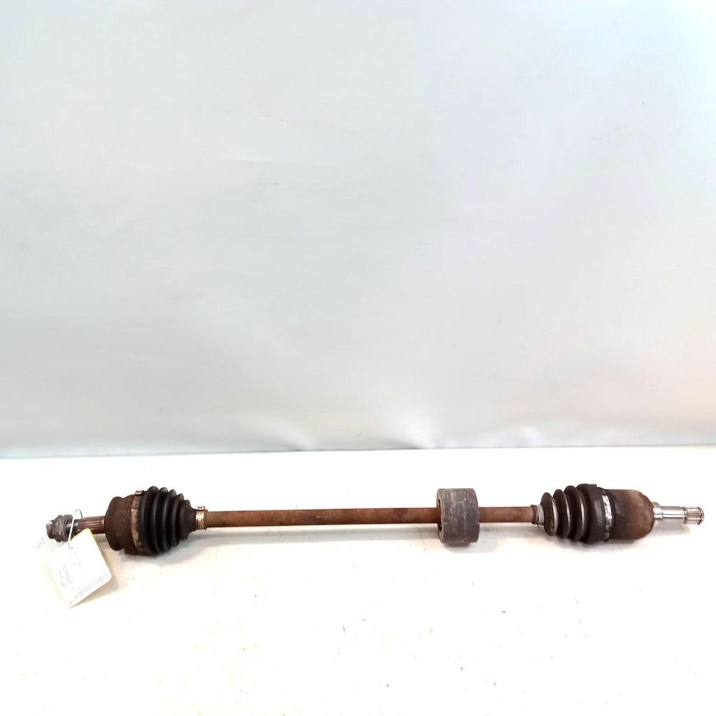 IMG_20260923_130749_0.jpg
