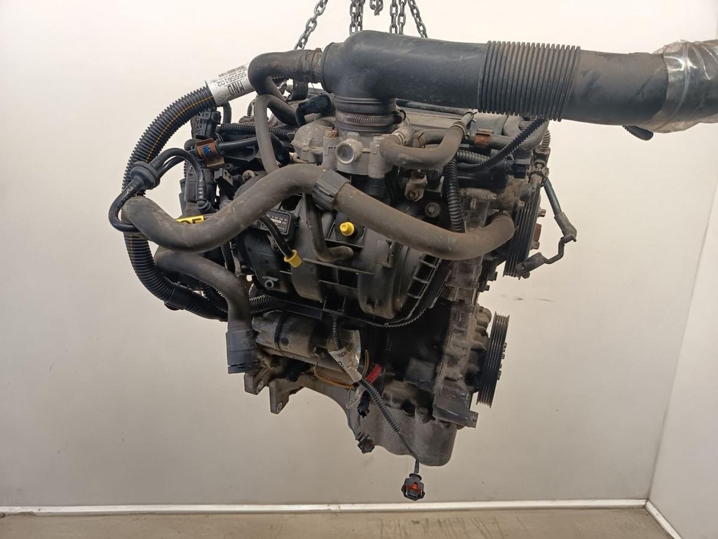 IMG_20260929_125511.jpg