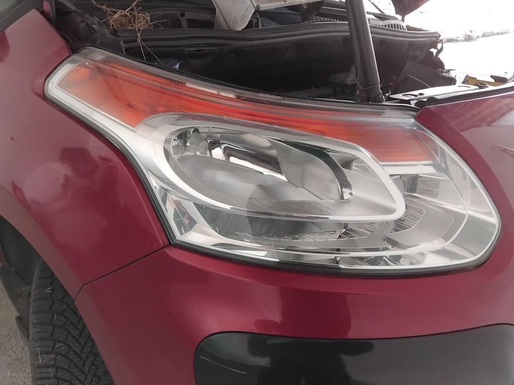 IMG_20261005_100514.jpg