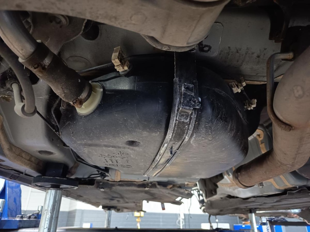 IMG_20261007_074122.jpg