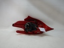DSCN4836.JPG
