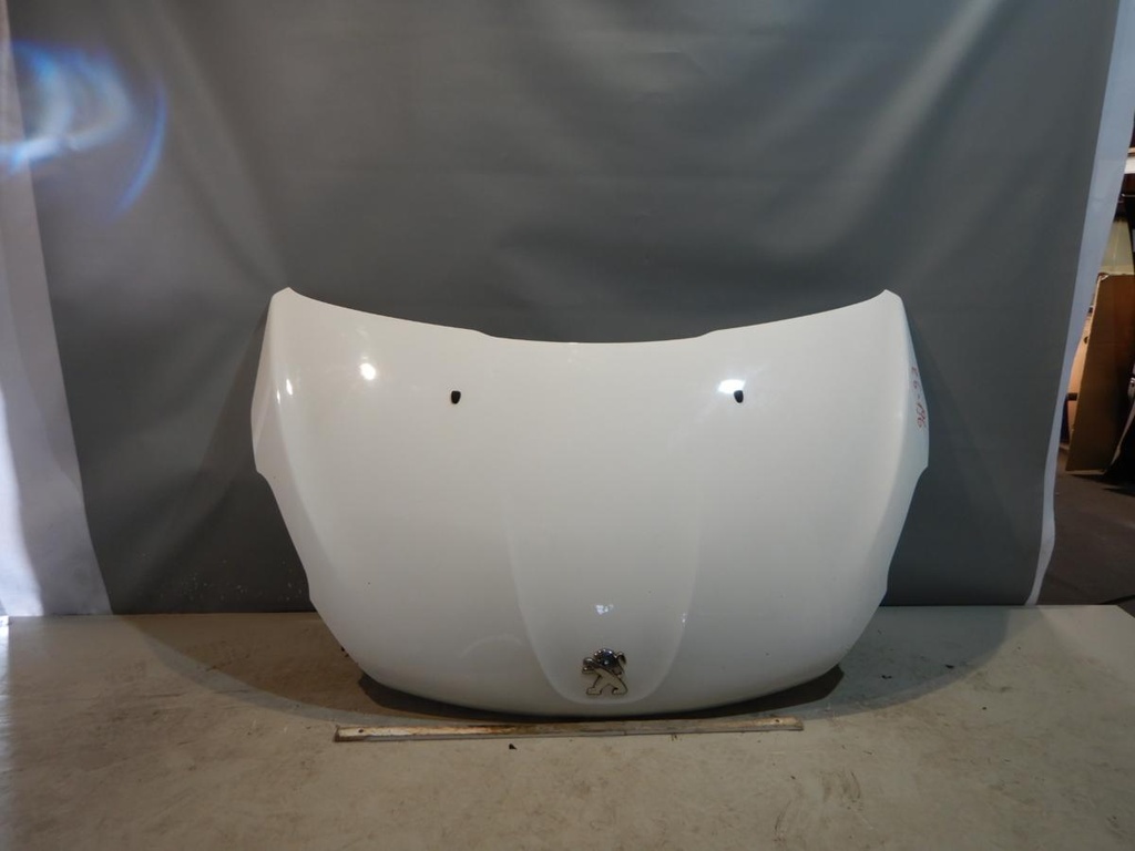 DSCN4848.JPG