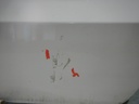 DSCN5002.JPG