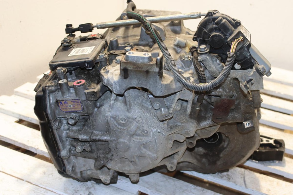 IMG_4341.JPG