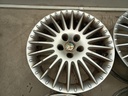 IMG_20261019_081111.jpg