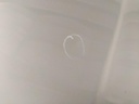 IMG_20261019_094327.jpg