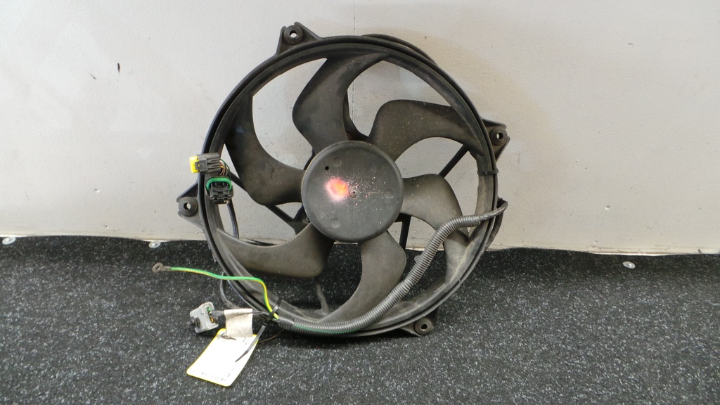 20200910_170435.JPG