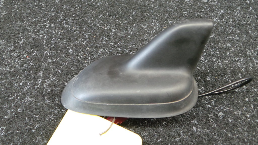 20200911_091635.JPG