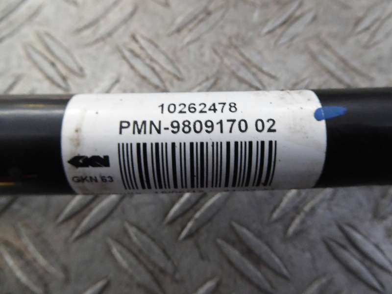 P1000430.JPG