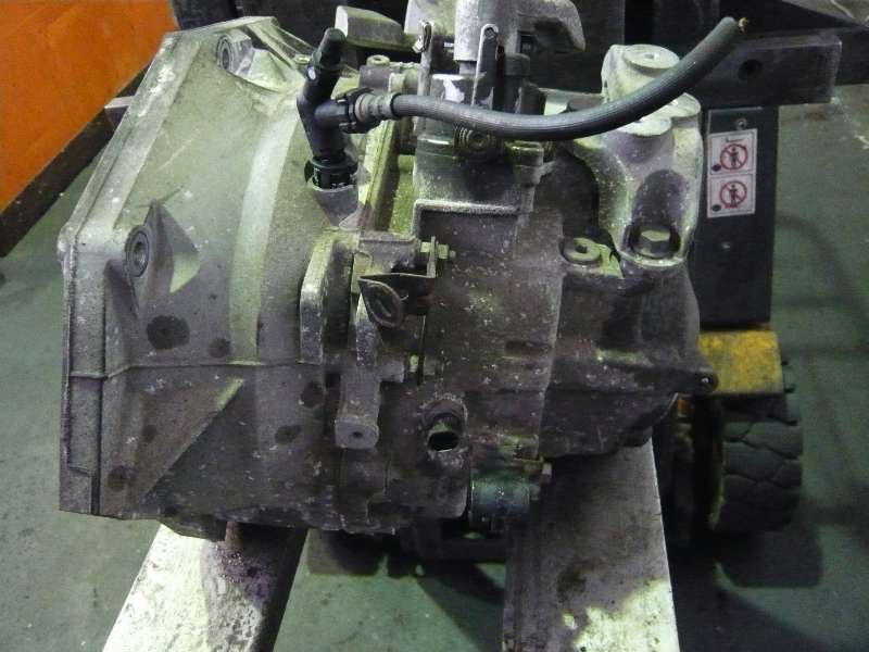 P1300027.JPG