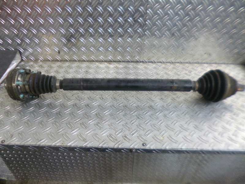 P1250240.JPG